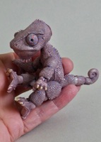 Lavender 
Chameleon